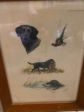 Boris Riabouchinksy Sporting Dog Etchings - Black Labrador 