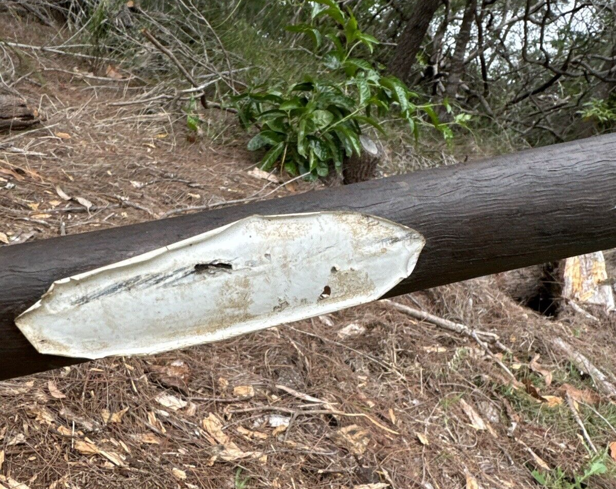 Picture 3 of 21