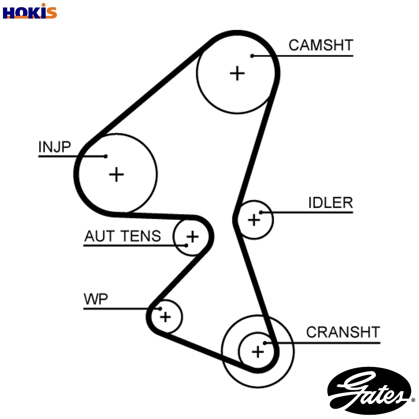 Timing Belt fits FORD TRANSIT CONNECT 1.5D 2015 on Gates 1872494 FM5Q6K288AA New - Image 30