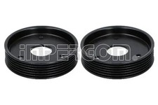 Poulies diverses Renault AVANTIME