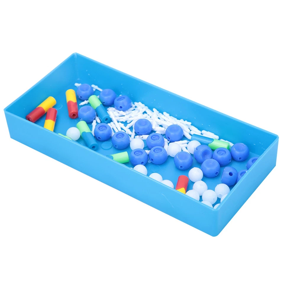 Modelo de ADN Molecular Biológico Modelo de ADN Doble Educativo Científico - Imagen 3 de 4