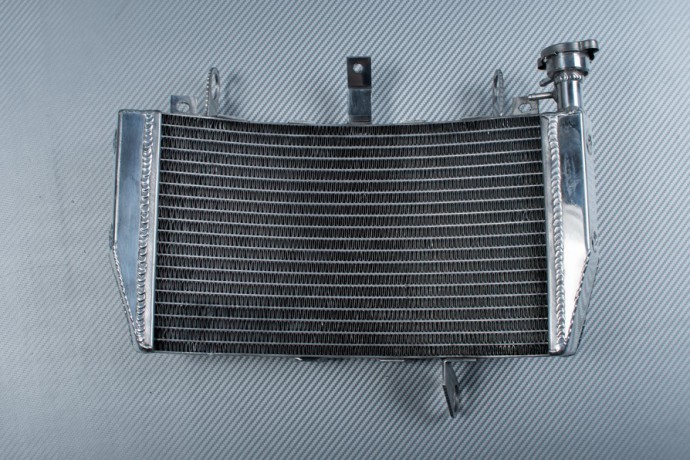 Radiateur aluminium de qualite superieure adapte a la Ducati Monster 821
