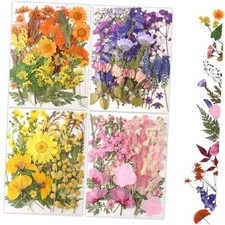 80Pcs Pressed Flowers, Dried Flowers Natural Pressed Flowers Bulk Multi Color-9