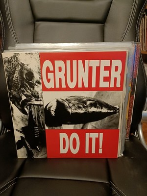 Arm The Insane Grunter    Endzeiten der Veränderung Do It! Lp 1991 Australia Punk