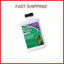 Bonide Sucker Punch, 8oz Ready-to-Use Sprout Control Liquid w/ Brush Applicator,