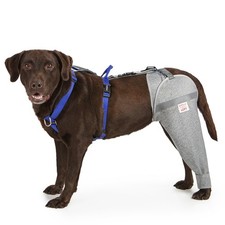 Dog Leg Sleeve for Licking  Surgery Recovery, Cone Alternative, Breathable, XL