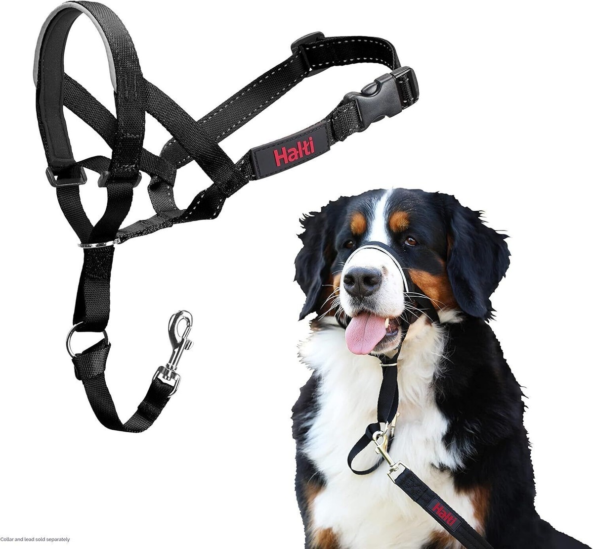 HALTI Headcollar, Stop Pulling Dog Head Lead Harness Size Black