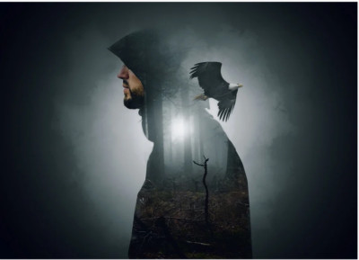 high quality oil painting handpainted on canvas ''a man and a  eagle''