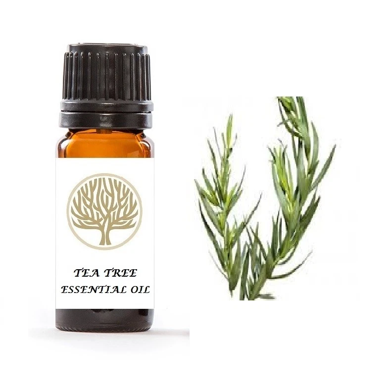 Tea Tree Antifungal Athletes Foot Treatment Oil for Athletes Foot & Fungal Nail