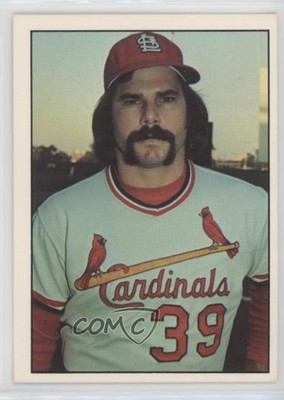 1976 SSPC Al Hrabosky #291 7c7