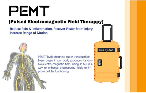 Professionelle Schmerzlinderung Physio Magneto PEMF Magnetische EMTT Therapie Maschine Neu - Bild 6 von 30