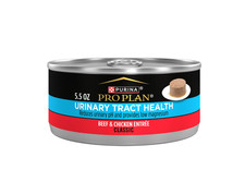 Purina Pro Plan Urinary Tract Health, Beef  Chicken, Wet Cat Food, 5.5 oz 12 