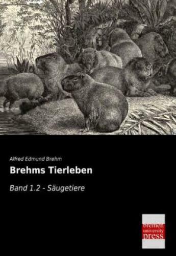 Thumbnail - Brehms Tierleben. Bd.1.2 Säugetiere 2297