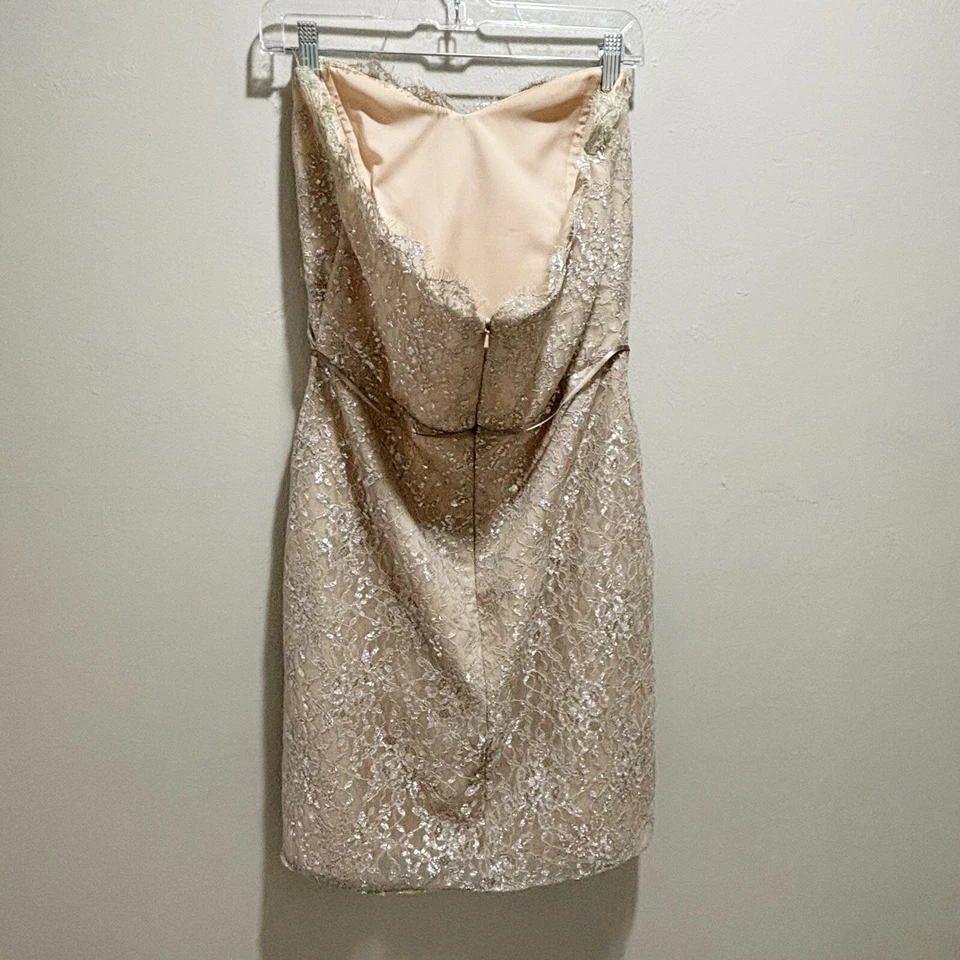 Vestido Formal ALVINA VALENTA MAIDS Para Mujer Beige Plateado Encaje Superpuesto Sin Tirantes 14 Foto 4 de 4