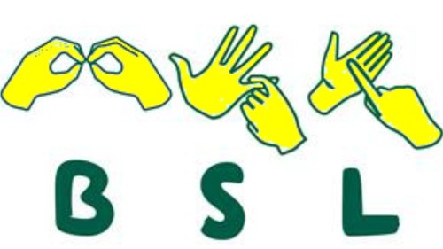 LEARN BSL BRITISH SIGN LANGUAGE EASY STEP BY STEP TUITION BEGINNERS COURSE DVD - Picture 4 of 9