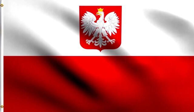 Image result for polish flag