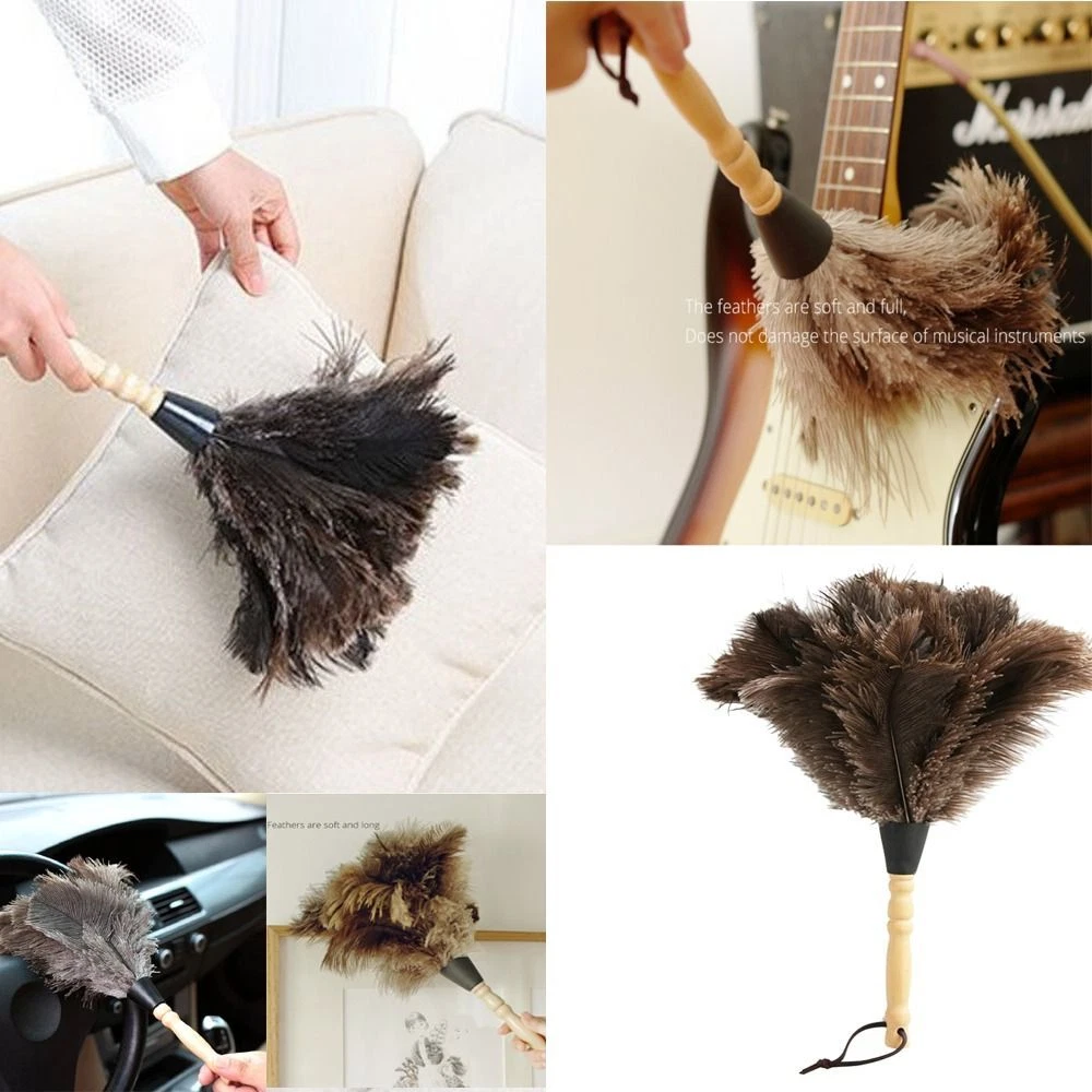 Ostrich sale feather brush