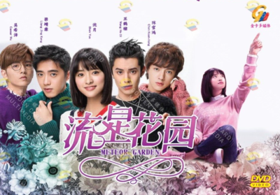 DVD Chinese Drama Meteor Garden 流星花園Episode 1-49END English