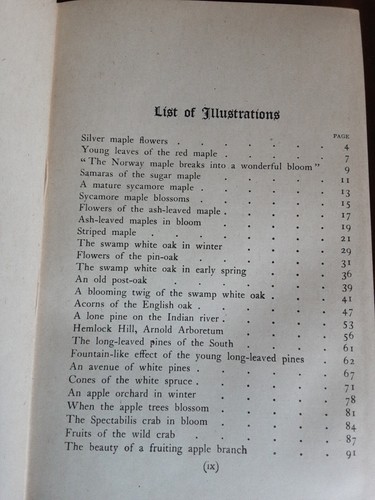 Vintage Kennenlernen der Bäume 1916 McFarland - Bild 6 von 11