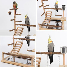 Natural Wood Bird Play Stands for Cockatiel Parrot Perch Stand with Removable