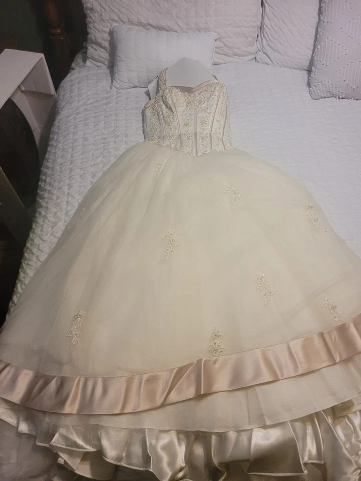 Vestido de novia David's talla 12 Foto 4 de 4