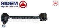 Sidem 81272 Stange/Strebe FüR RadaufhäNgung FüR Hyundai FüR Kia