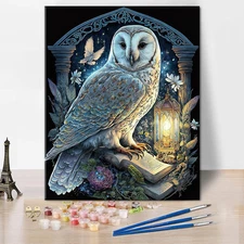 Paint by Numbers Kit for Adults Beginner,Owl Reading  Adult Paint by Number Kits