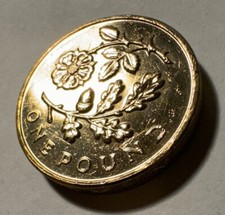 2013 £1 One Pound Coin Floral Emblems Tudor Rose and Oak England UK Circulated