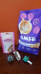 iams cat food 7lbs
