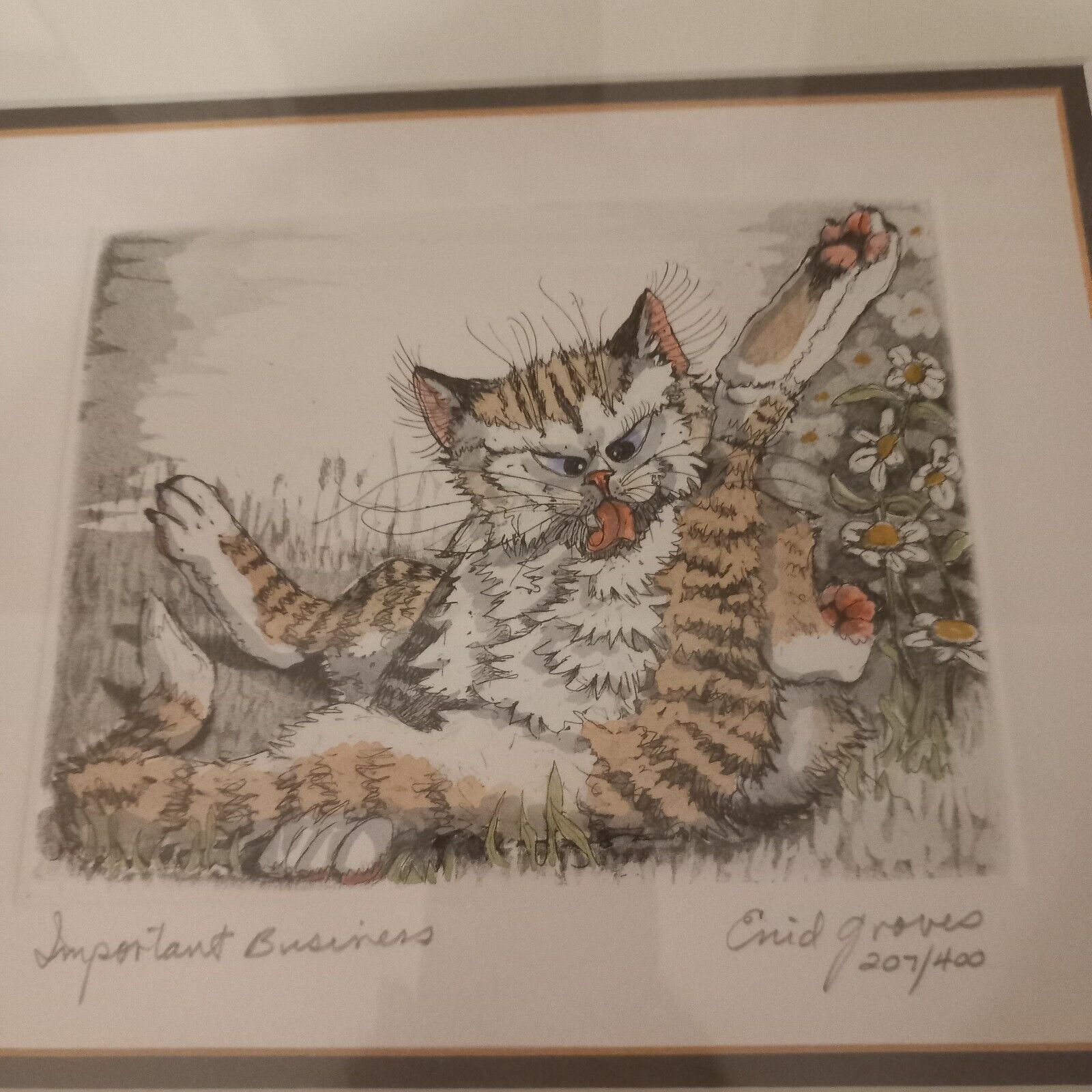 Picture 2 of 7