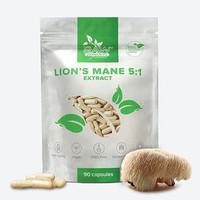 Lions Mane 500Mg - 90 Vegane Kapseln – Hericium Erinaceus – LöWenmäHne Pilz