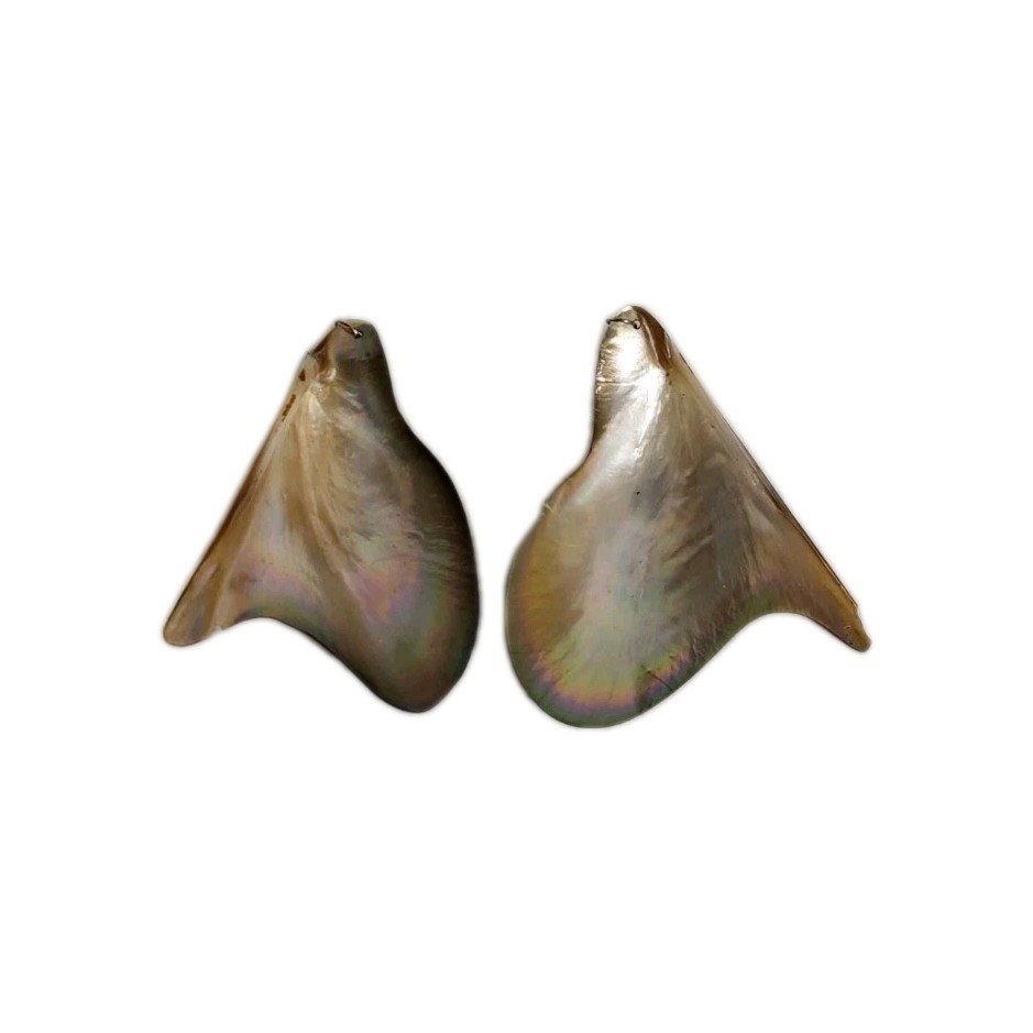 Large Shell Dangle Earrings 3" Pierced Unique - image 3