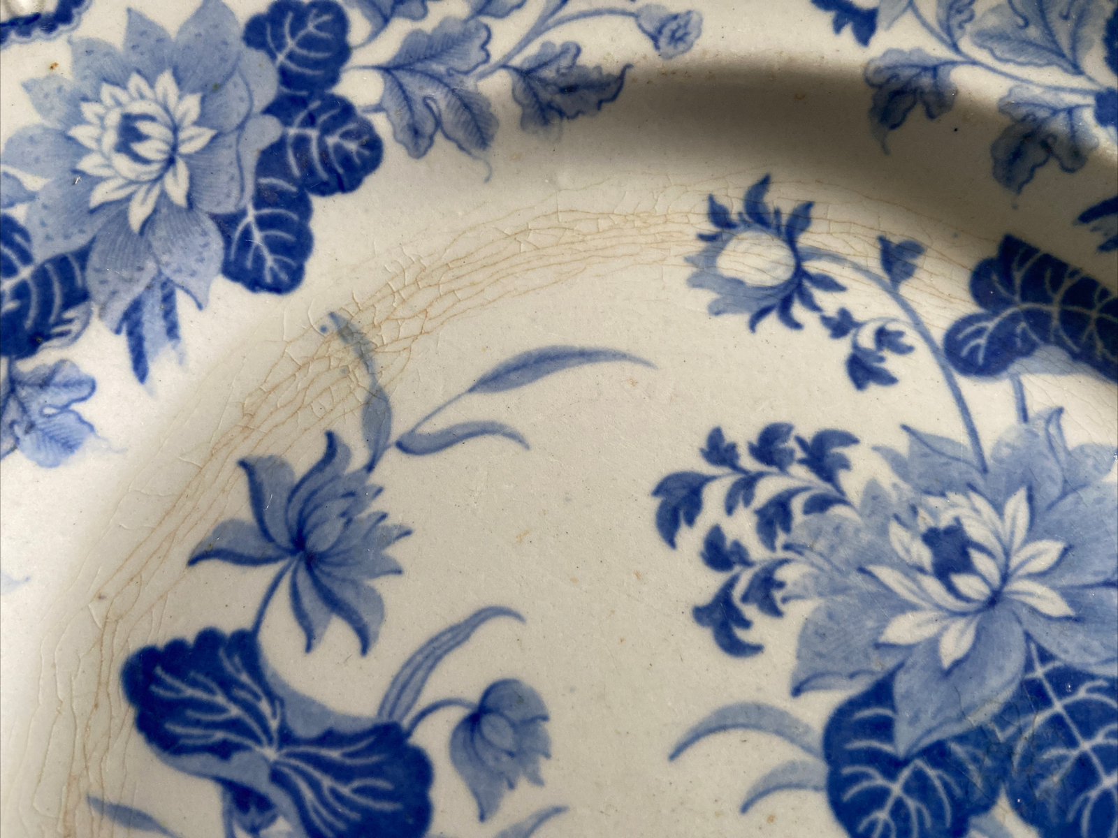 Rare blue white Dinner Plate stone china No 21 Hicks & Meigh C