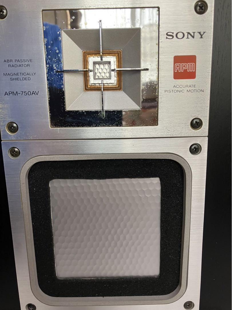 SONY APM-750AV Speakers w/ Magnetically Shielded Units & ABR