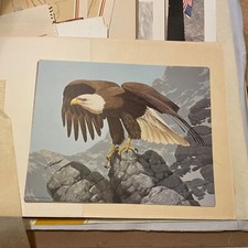 Guy Coheleach Bicentennial Bald Eagle Raptor Mini Art Print 11x14
