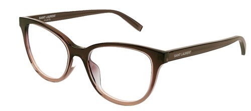 RAEN Vine Sunglasses Ginger Translucent Champagne Cat Eye 54-21-145 Preppy RAEN VINE Ginger Clear Plastic Square Women main image 3