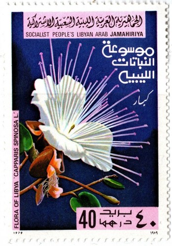 LIBYA 1979 FLOWERS SIX STAMPS SET MNH - Picture 6 of 7