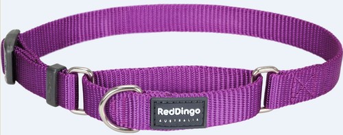 Cuello Premium Red Dingo Entrenamiento Semi-Estrangulamiento para Perro-Martingala-Elige Tamaño/Color Sólido - Imagen 6 de 11