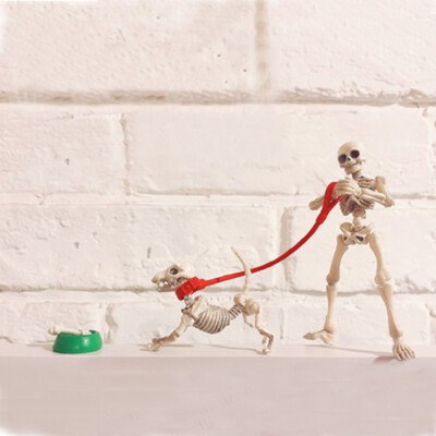 Miniaturen Pose Skelett Hund Figur Modell Spielzeug Set Puppenstube Sammlungen