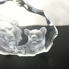 Bild 4 von 22