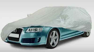 Car cover tarpaulin cover whole garage outdoor Voyager for DS automobiles DS