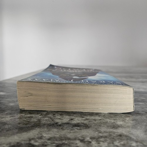 The Assassin's Blade The Throne of Glass Novellas Sarah J. Maas PB 2015 - Picture 10 of 15
