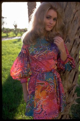 Alexandra Bastedo The ChampionsSexy 8x12 giclee photo 