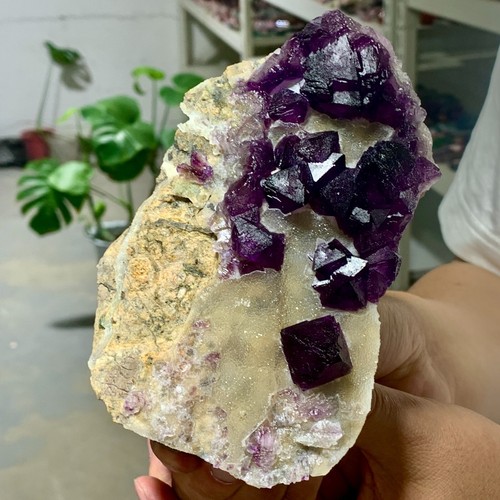 1.51LB Rare natural transparent purple cubic fluorite crystal sample/China - Picture 17 of 17