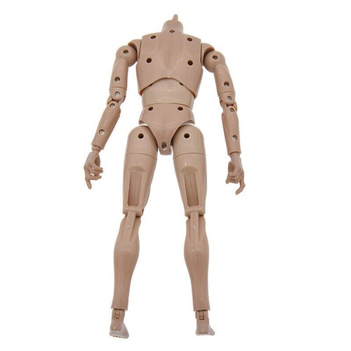 1:6 Scale Head Play Action Narrow Shoulder Figure Male Nude Muscular Body Model