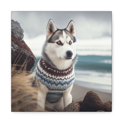 #ad Cozy Canine Canvas Wrap Siberian Husky In Sweater On Beach Art for Dog Lovers $19.58