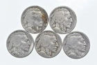 BETTER Lot 1929-D 1925-S 1928-S 1927-S 1928-S Buffalo Nickel Collection *176