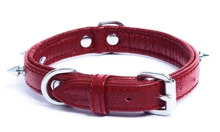 Angel Small Genuine Red Leather Studded Spiked Dog Collar Fits