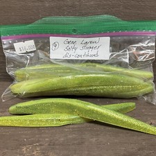 Gene Larew Salty Slugger, Discontinued Bait (9count)
