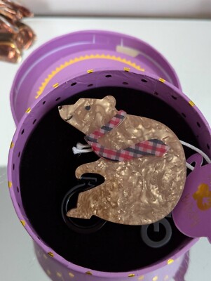 Erstwilder Grouchy Bear Resin Brooch-10th Birthday Fan Favourites-2021 NWT